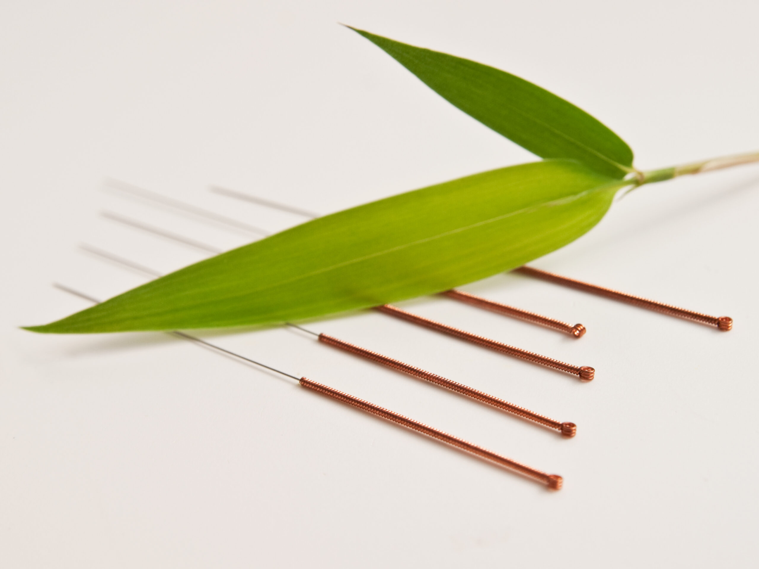 Several acupuncture needles with copper-wrapped handles arranged in a row beneath a long green bamboo leaf on a white background.